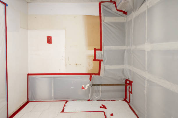 Round Rock, TX Mold Inspection, Removal & Remediation Company